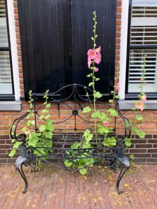 Sfeerbeeld Vollenhove. Foto Sybylle Kroon